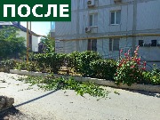 Сев 18_после